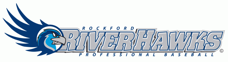 Rockford Riverhawks 2007-Pres Wordmark Logo iron on heat transfer